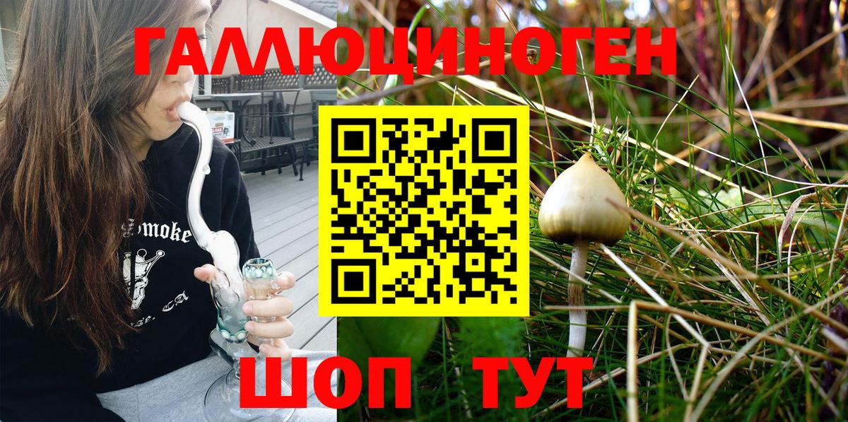 Пыть-Ях  Галлюциногенные грибы Psilocybe  Вход с VPN  Галлюциногенные грибы прущие грибы 